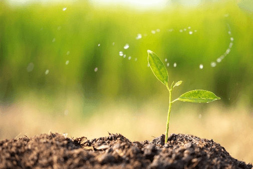 Agricultural scene 1